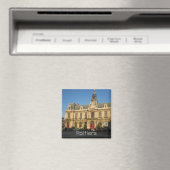 Buizen Magneet (Insitu (Vaatwasser))