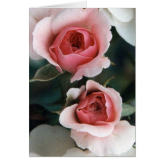 Buizen worden bloesems