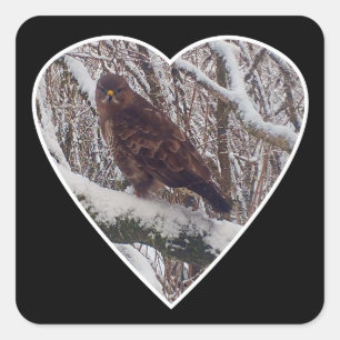 Buizerd op Sneeuwtak Wildlife Hart Natuur Kunst Vierkante Sticker