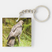 Buizerd Roofvogel Op Grond Wilde Natuur Sleutelhanger (Achterkant)