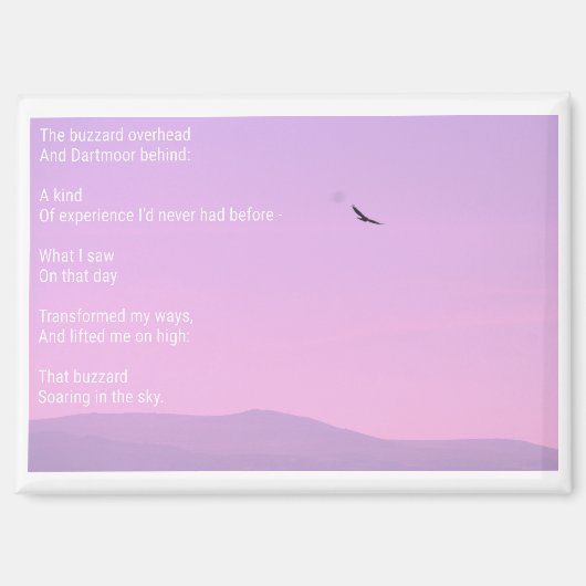 Buizerd stijgende kaart magneet (Voorkant)