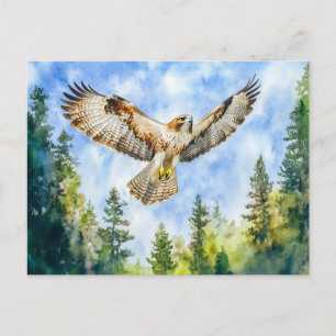 Buizerd vliegen over een dennenbos waterverf verf briefkaart