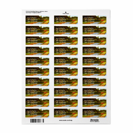 Bulb Fields Holland Van Gogh Fine Art Etiket (Full Sheet)