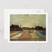 Bulb Fields van Vincent van Gogh. Briefkaart (Voorkant / Achterkant)