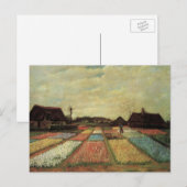 Bulb Fields van Vincent van Gogh Briefkaart (Voorkant / Achterkant)