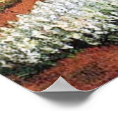 Bulb Fields van Vincent van Gogh. Poster (Hoek)