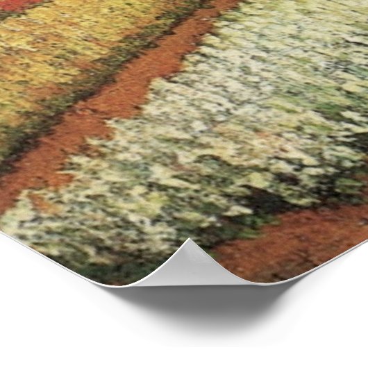 Bulb Fields van Vincent van Gogh Poster (Hoek)