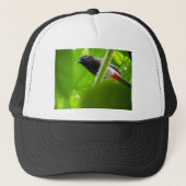 Bulbul met rode bloedvaten (Pycnonotuscafer) Trucker Pet (Voorkant)