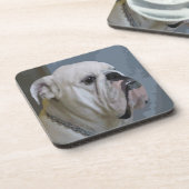 buldog bier onderzetter (Linkerzijde)