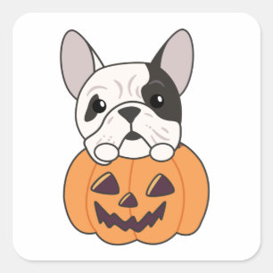 buldog in pompoen schattige honden gelukkig hallow vierkante sticker