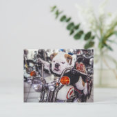 Buldog op Motorfiets Briefkaart (Staand voorkant)
