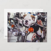 Buldog op Motorfiets Briefkaart (Voorkant / Achterkant)