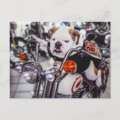 Buldog op Motorfiets Briefkaart (Voorkant)