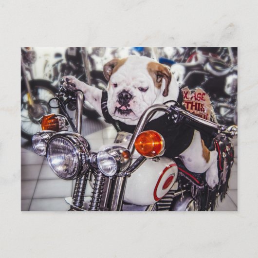 Buldog op Motorfiets Briefkaart (Voorkant)