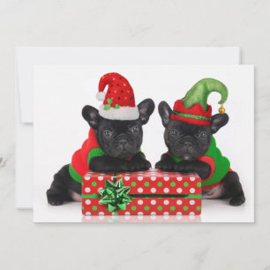 buldog puppy met de gift van Kerstmis Feestdagenkaart