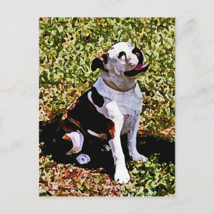 Buldog Sitting with Mouth Open Briefkaart