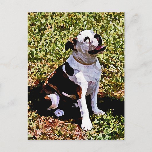 Buldog Sitting with Mouth Open Briefkaart (Voorkant)