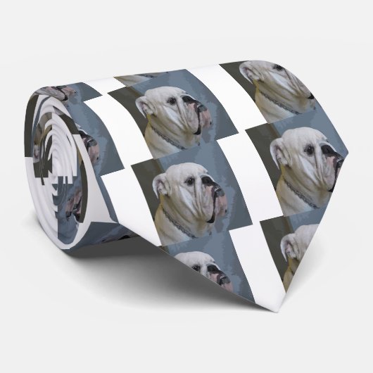 buldog stropdas (Opgerold)