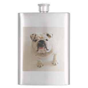 buldog white flacon