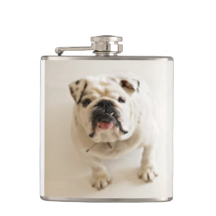 buldog white heupfles