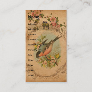  Bulfinch Visitekaartje