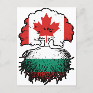 Bulgaarse Canadese vlag voor boomstammen van Canad Briefkaart