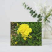 Bulgaarse gele rozen briefkaart (Staand voorkant)