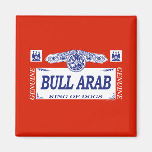Bull Arab Magneet