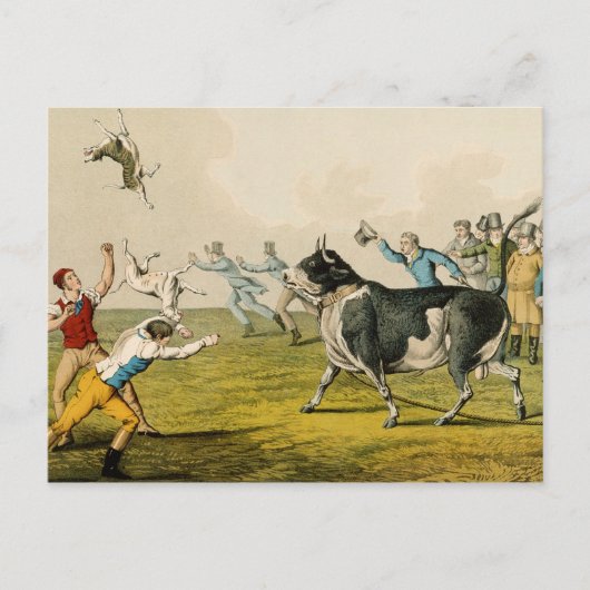 'Bull Baiting', geb. door Thomas McLean, 1820, (pr Briefkaart (Voorkant)