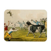 'Bull Baiting', geb. door Thomas McLean, 1820, (pr Magneet (Horizontaal)