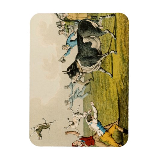 'Bull Baiting', geb. door Thomas McLean, 1820, (pr Magneet (Verticaal)