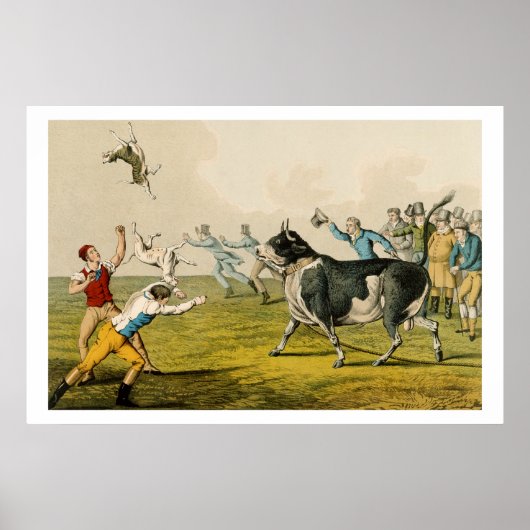 'Bull Baiting', geb. door Thomas McLean, 1820, (pr Poster (Voorkant)