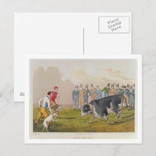 'Bull Baiting', gepromoveerd door Thomas McLean, 1 Briefkaart (Voorkant / Achterkant)