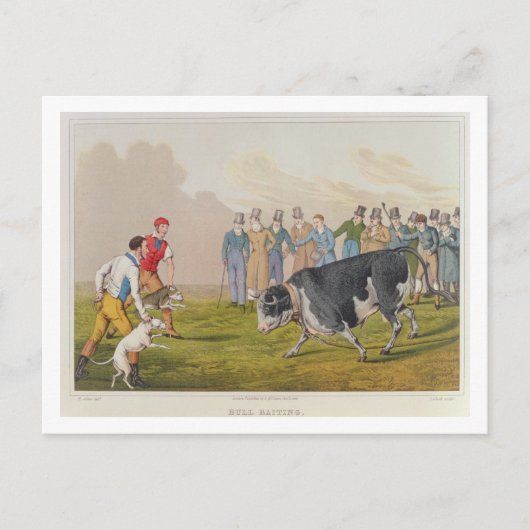 'Bull Baiting', gepromoveerd door Thomas McLean, 1 Briefkaart (Voorkant)