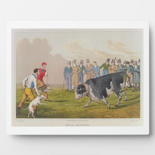 'Bull Baiting', gepromoveerd door Thomas McLean, 1 Fotoplaat (Voorkant)