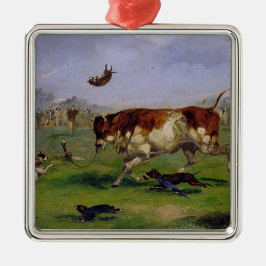 Bull Baiting (olie op papier op het paneel) Metalen Ornament (Voorkant)