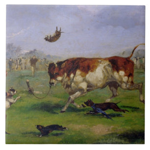Bull Baiting (olie op papier op het paneel) Tegeltje