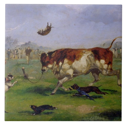 Bull Baiting (olie op papier op het paneel) Tegeltje (Voorkant)