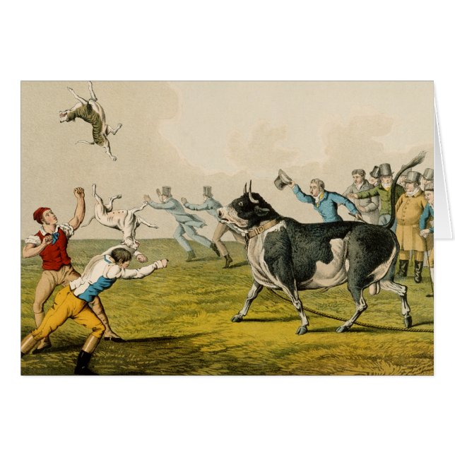 'Bull Baiting', pub. van Thomas McLean, 1820, (pri (Voorkant Horizontaal)