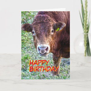 Bull Birthday Kaart