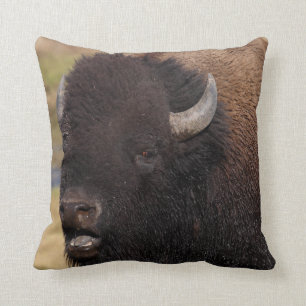 bull bison praat kussen