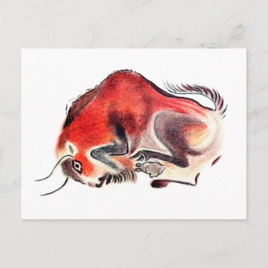 Bull Briefkaart (Voorkant)