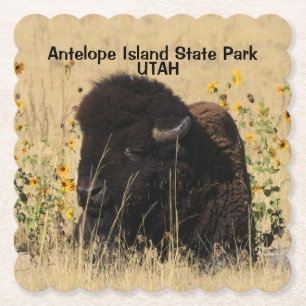 Bull Buffalo Antelope Island UTAH Paper Onderzette Kartonnen Onderzetters