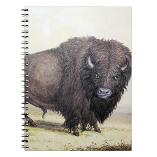 Bull Buffalo Notitieboek (Voorkant)