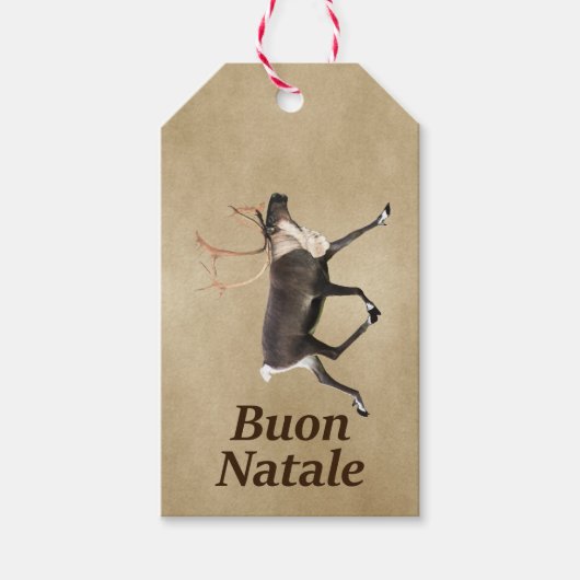 Bull Caribou - Buon Natale Cadeaulabel (Voorkant)