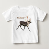 Bull Cariou (Voorkant)