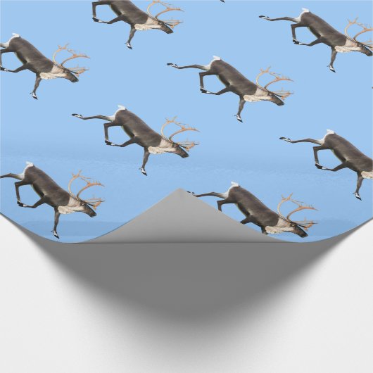 Bull Cariou Cadeaupapier (Hoek)