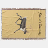 Bull Cariou Deken (Voorkant)