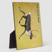 Bull Cariou Fotoplaat (Zijkant)