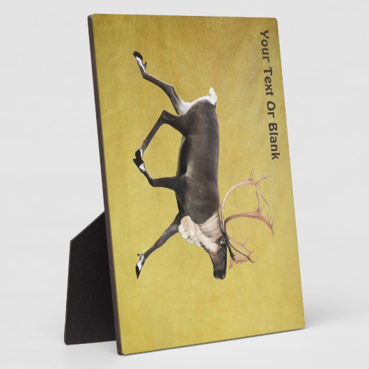 Bull Cariou Fotoplaat (Zijkant)